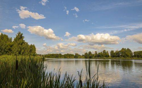 Вечер на озере