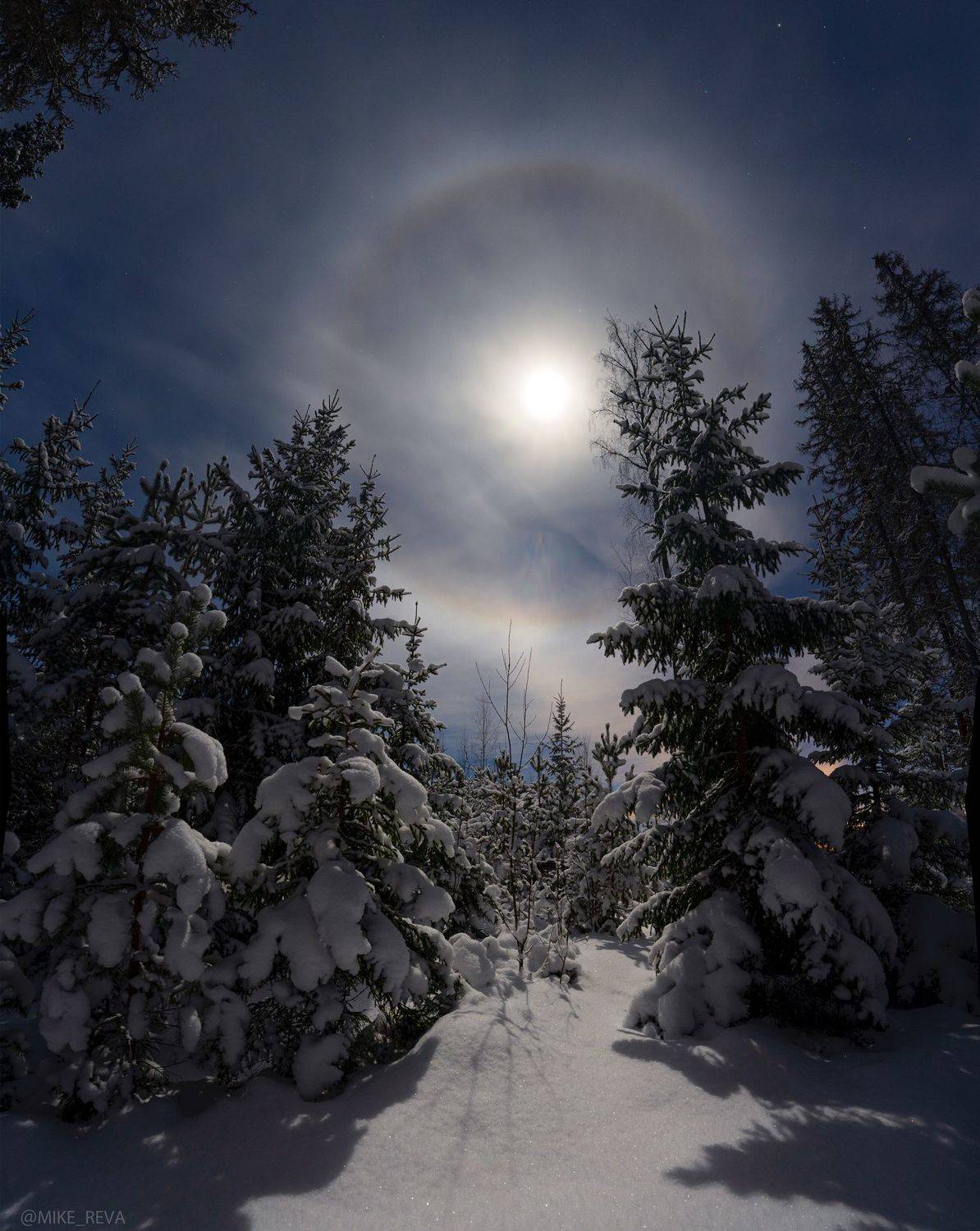 , Михаил Рева