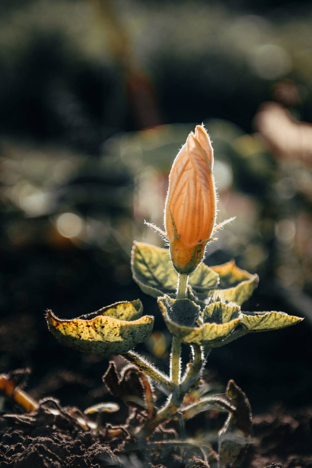 , Николай Гришин