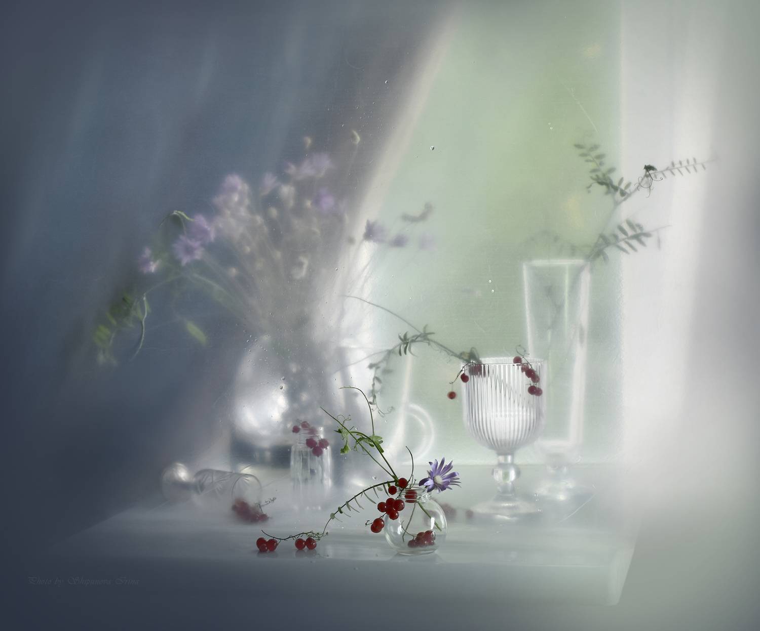 , Ирина Шипунова