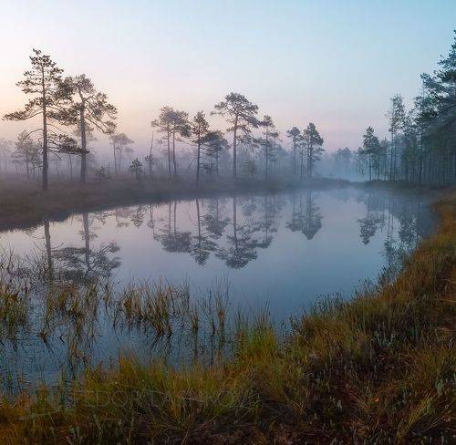 Жить здесь и сейчас