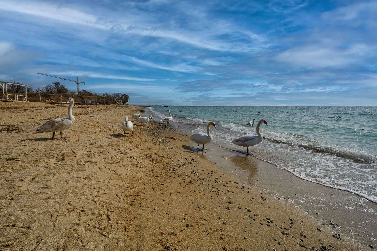, Владимир Гамаюнов
