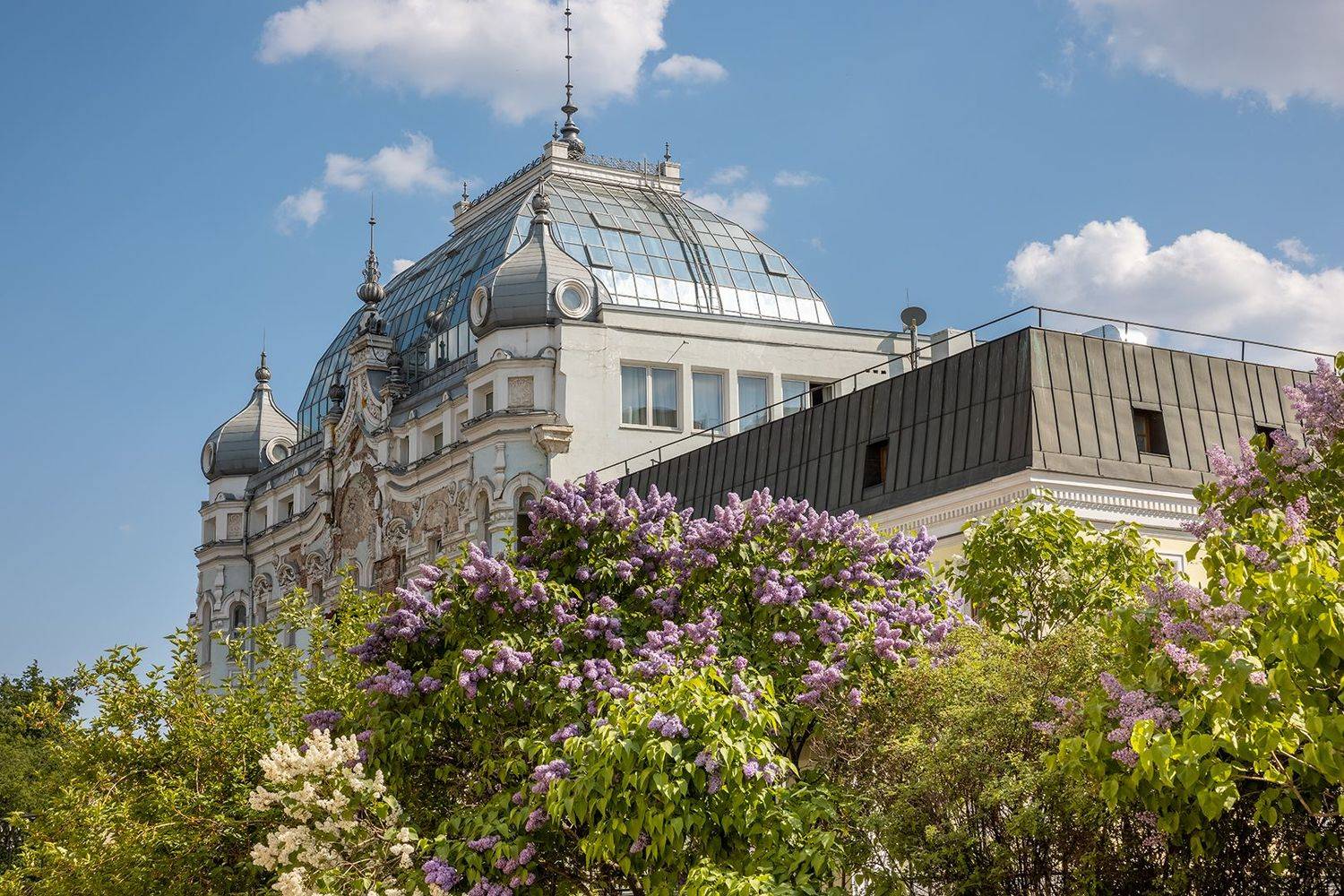 , Шурчков Юрий