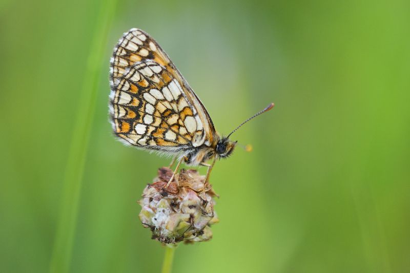2023 фото превью