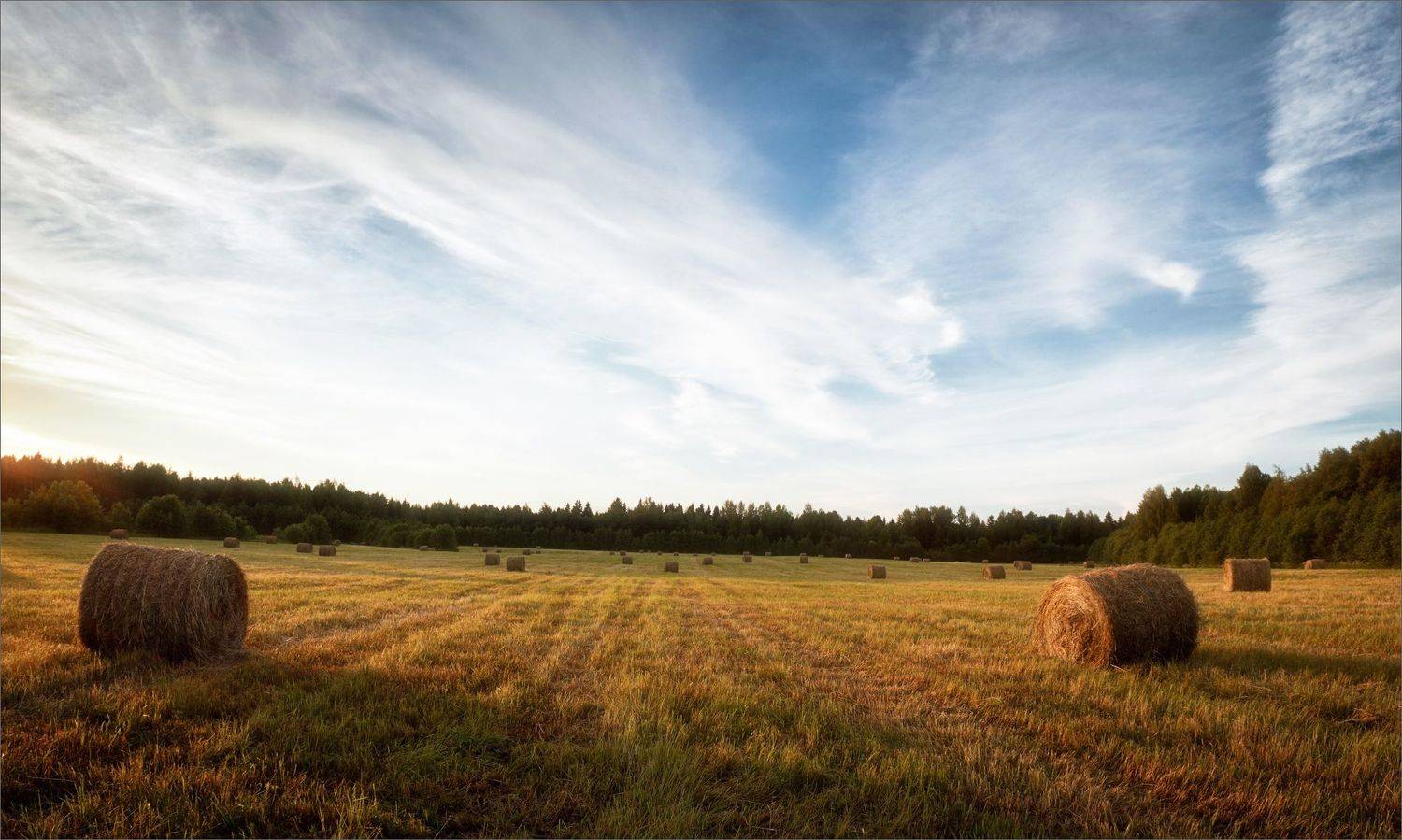 пейзаж, лето, вечер, деревня, свет, цвет, александр никитинский, Никитинский Александр