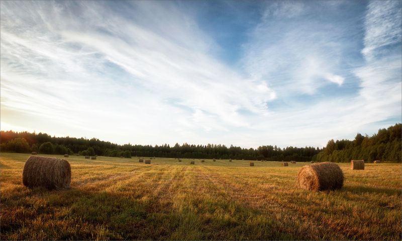 пейзаж, лето, вечер, деревня, свет, цвет, александр никитинский Летний вечер в деревне... фото превью