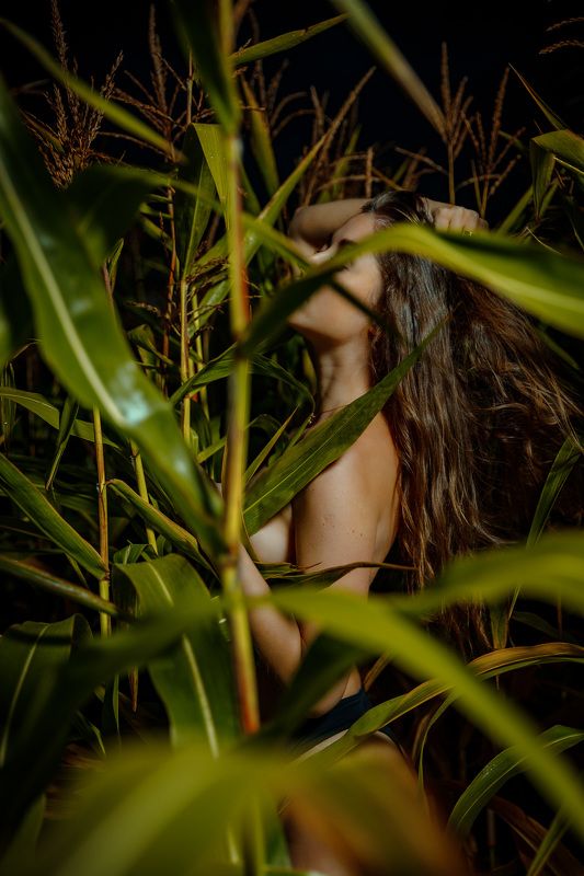 Лето фото превью