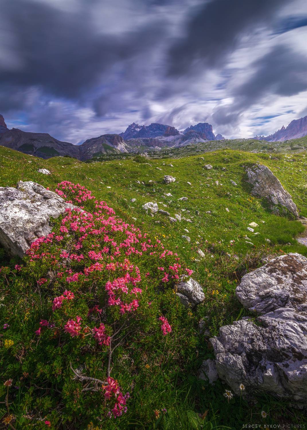 , Быков Сергей