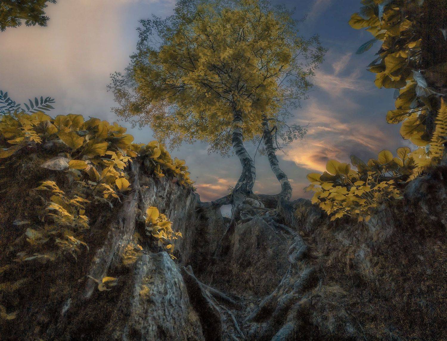 пейзаж природа закат тайга сибирь, Холудеев Виктор