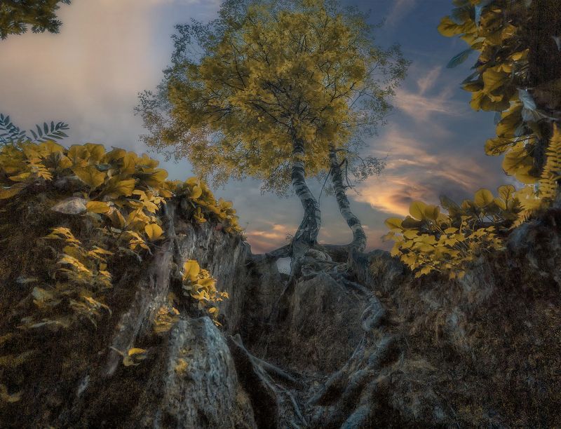 пейзаж природа закат тайга сибирь Где-то в Сибирской Таёжной Глубинке фото превью