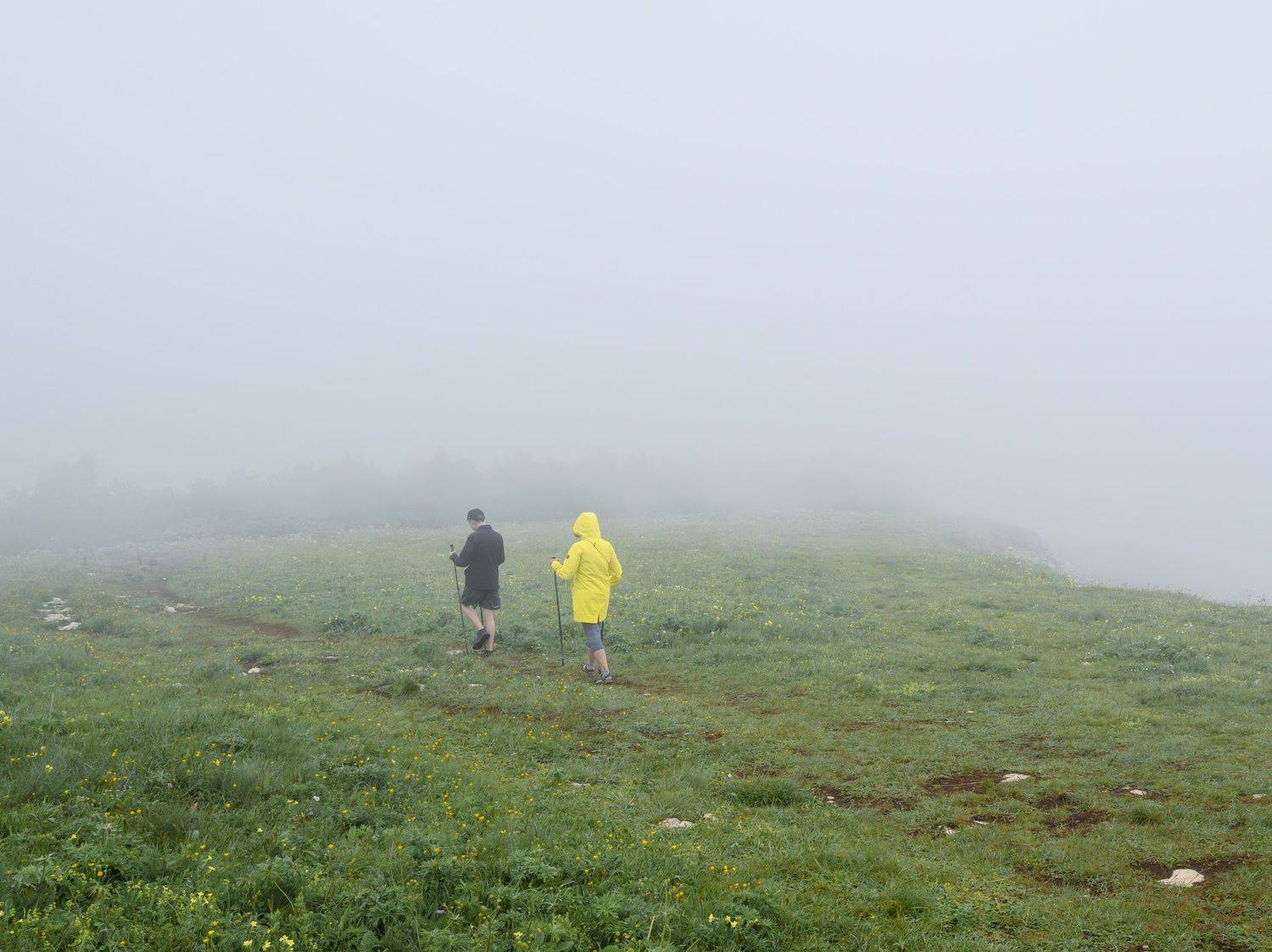 , Караваев Антон