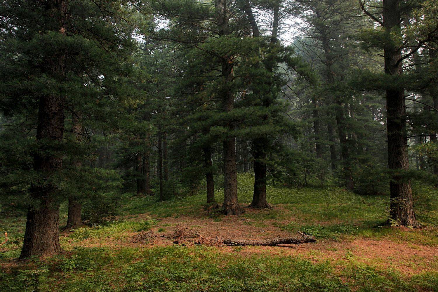 , Алексей Хахлов