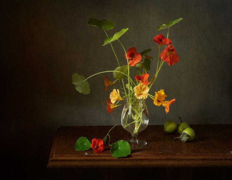 Настурция фото превью