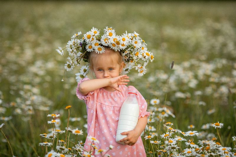 дети, лето, ромашки, молоко, детская фотосессия  фото превью