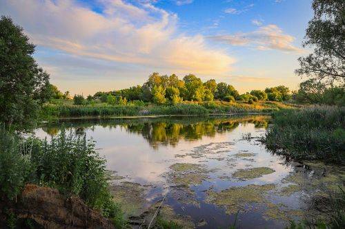 И так бывает вечерами