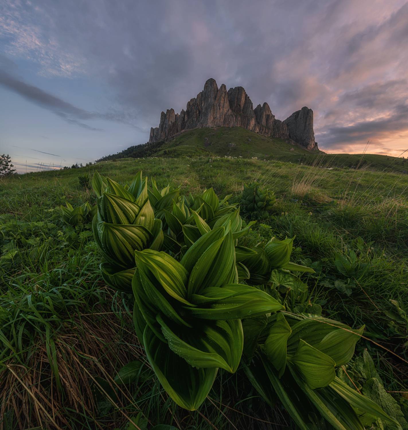 западный кавказ, природный парк большой тхач, Мысливцев Николай