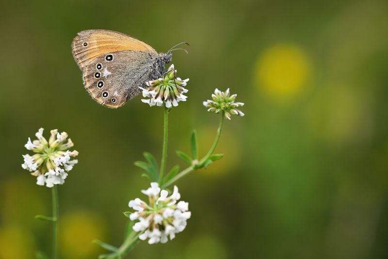 2023 фото превью