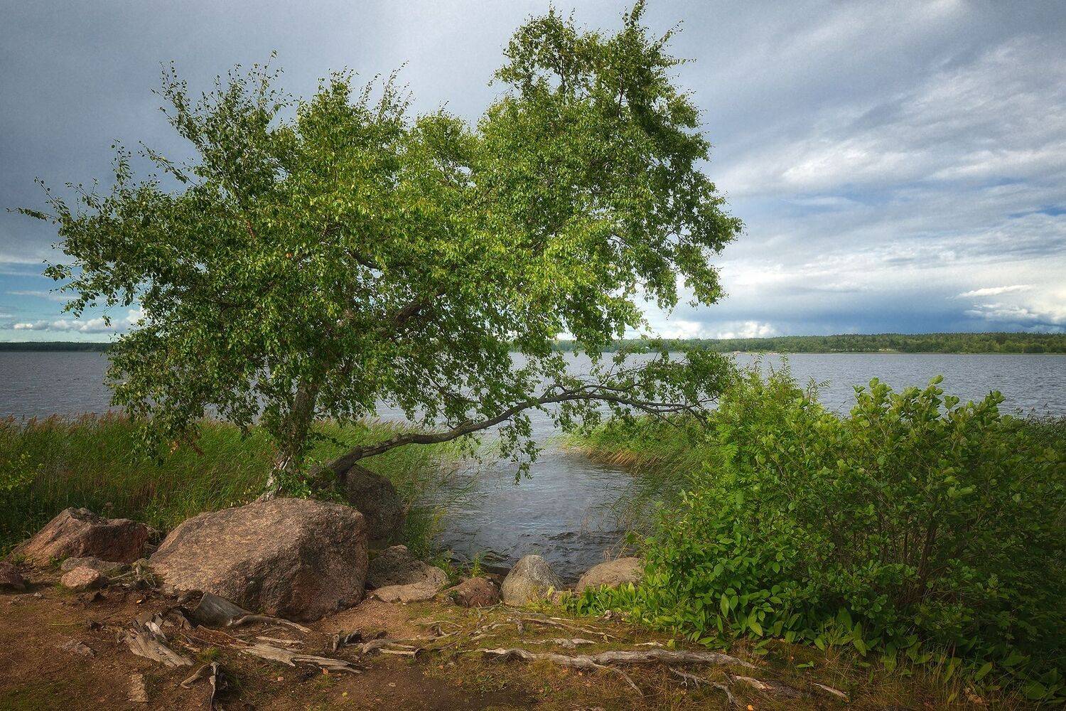 , Алексей Никонов