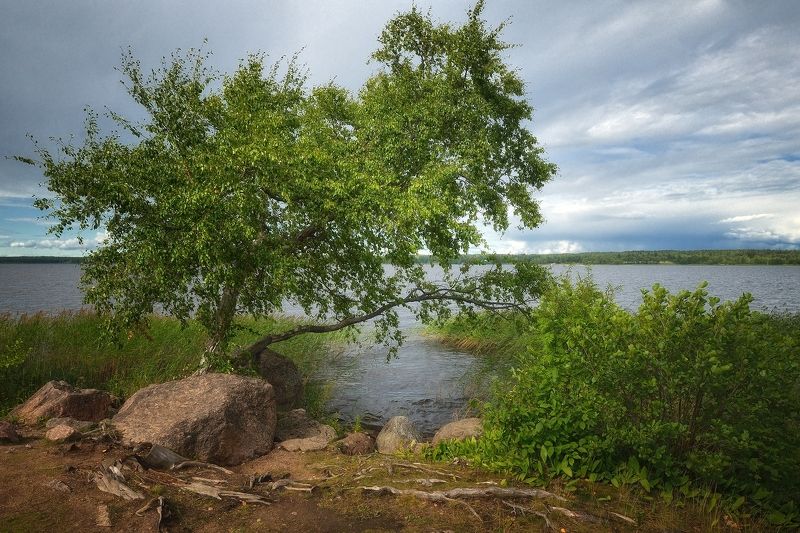 В тишине фото превью