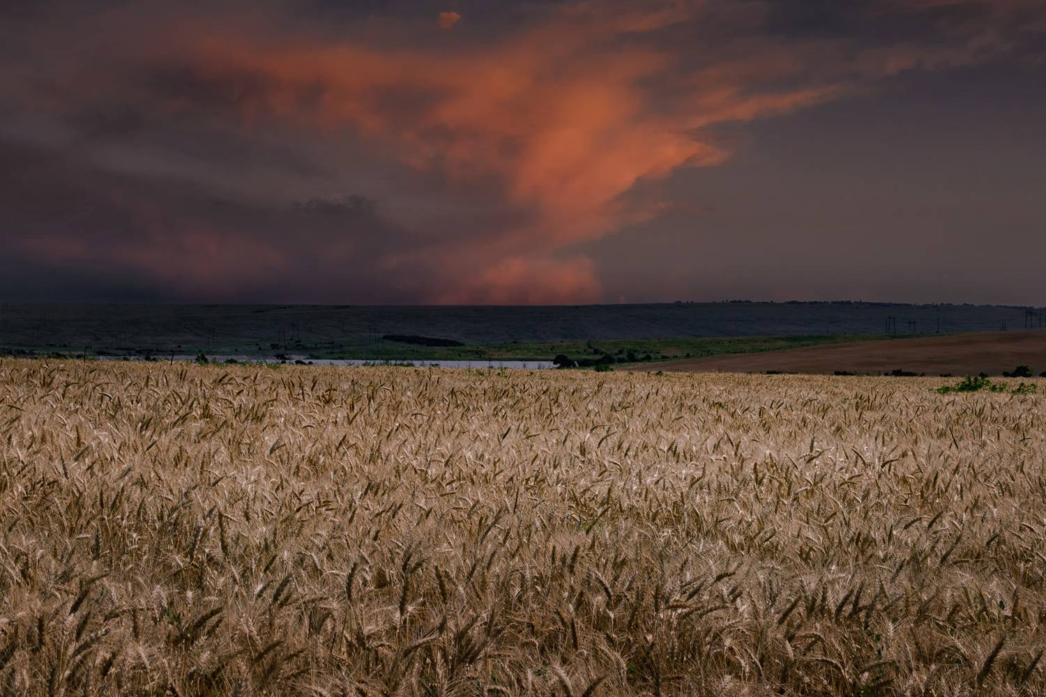 , Алиева Татьяна