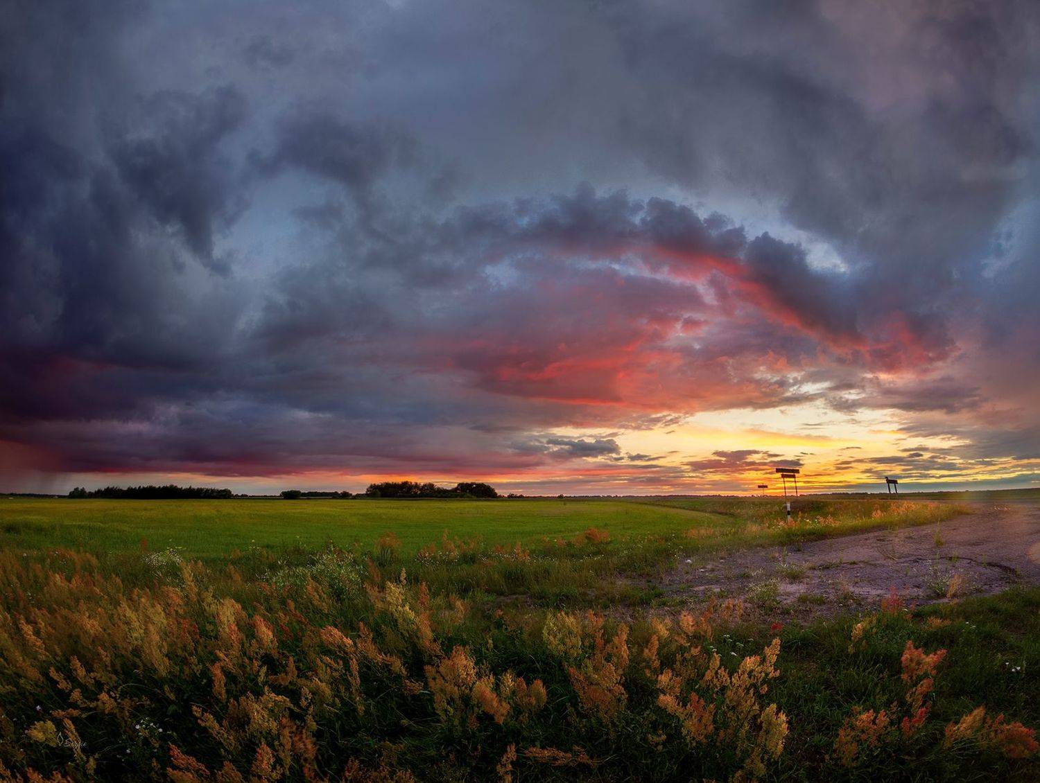 Беларусь, Серж Домбровский