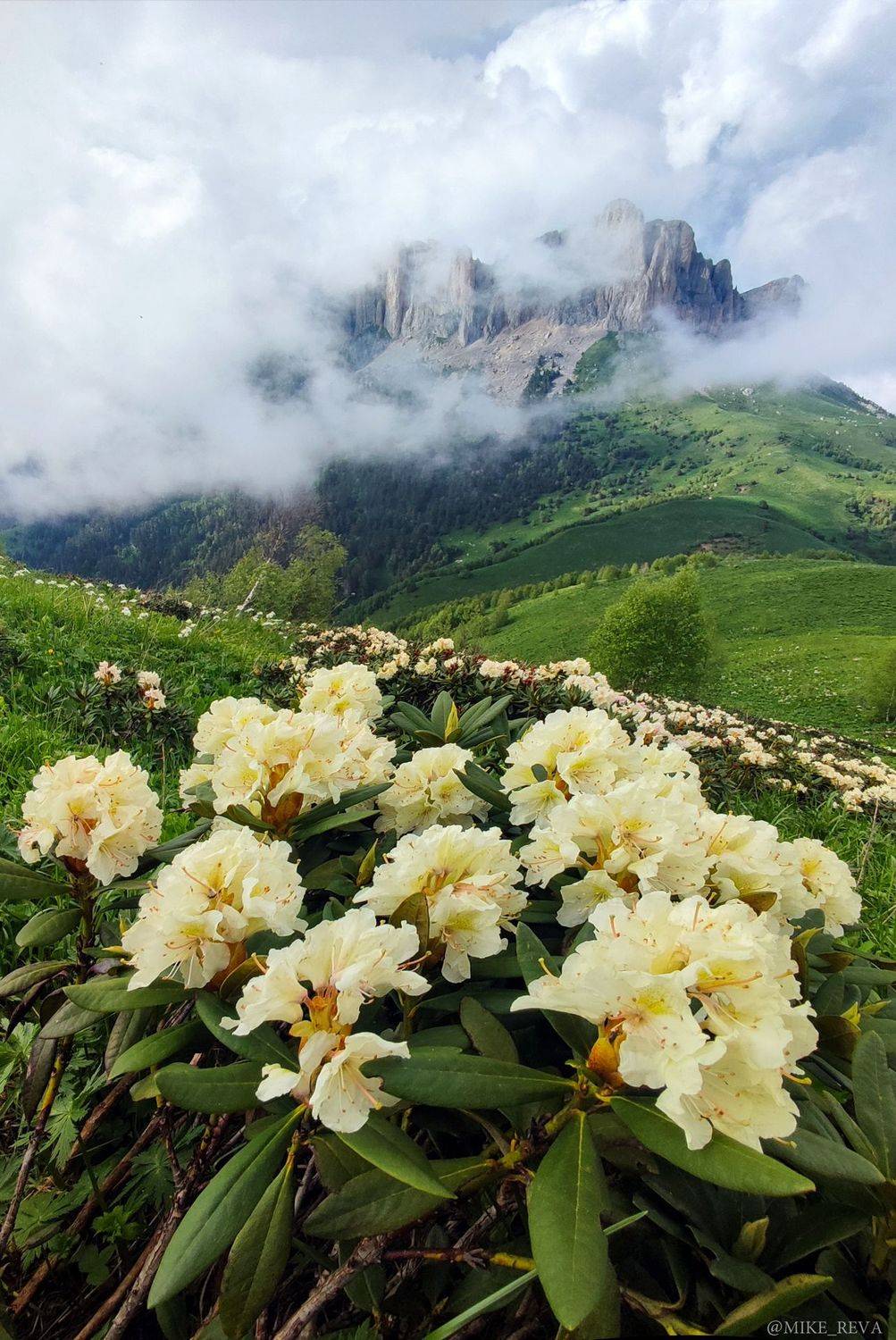 , Михаил Рева