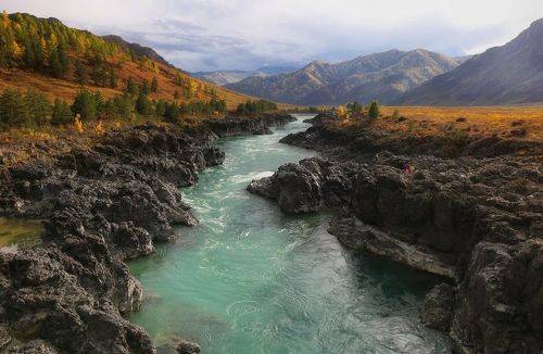 Прогулка над Катунью