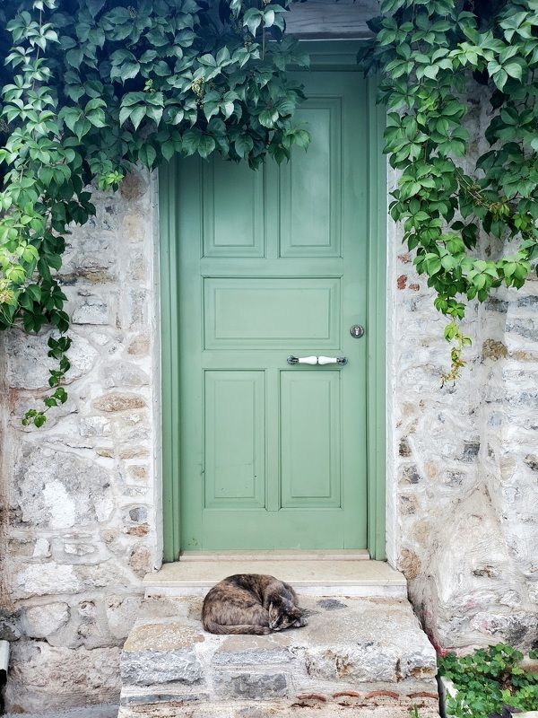 Лето фото превью