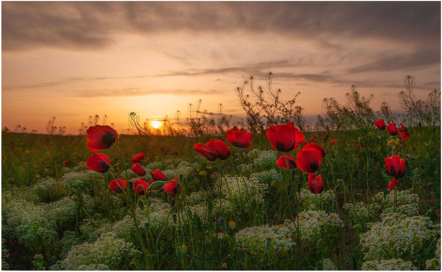 у села  камышово, Сергей цыбизов