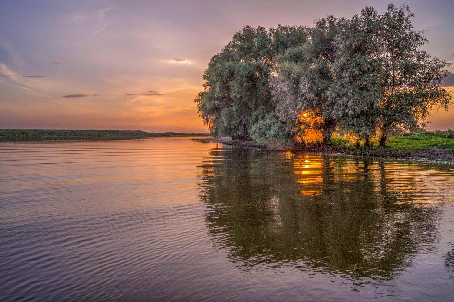у села  камышово, Сергей цыбизов
