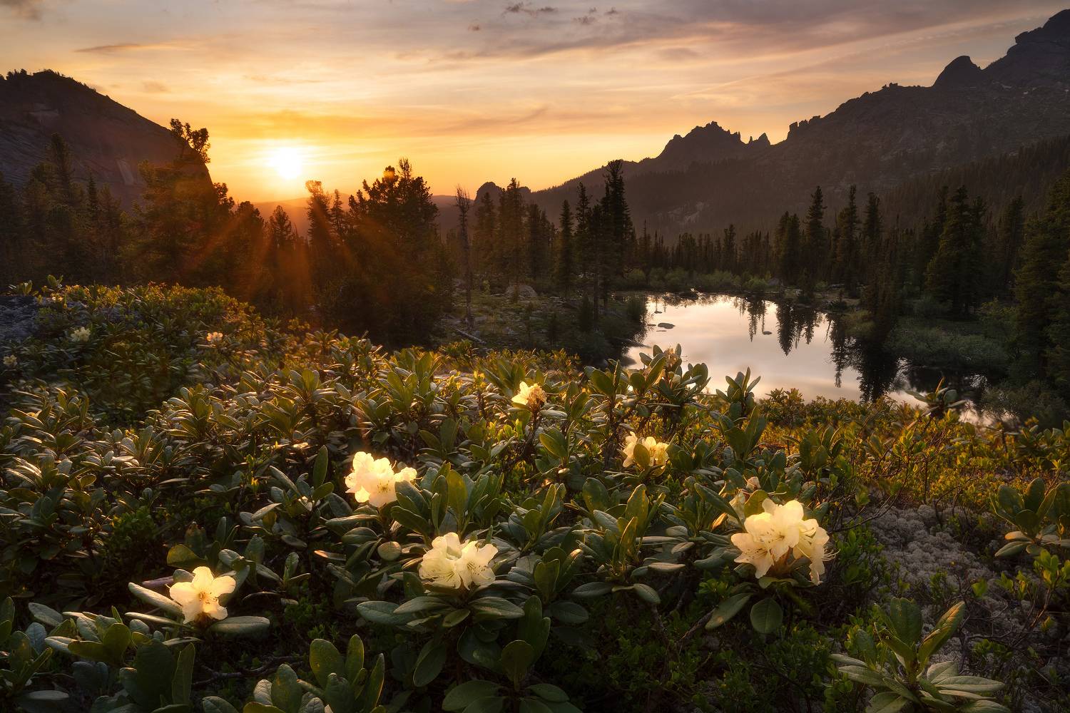 , Константин Калинин