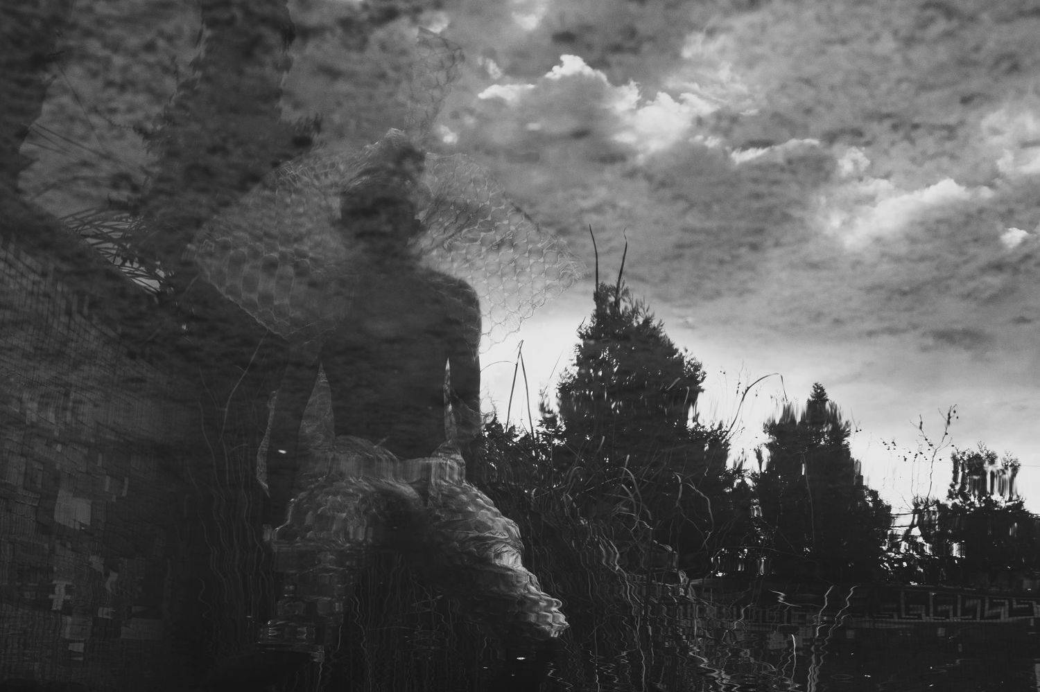 black and white photography, dramatic sky, tree silhouette, plastic clothing, surrealistic art, environmental issues, over-consumption, waste and pollution, regal attire, art gallery exhibition, thought-provoking image, environmental awareness, fast-paced, Druz Denys