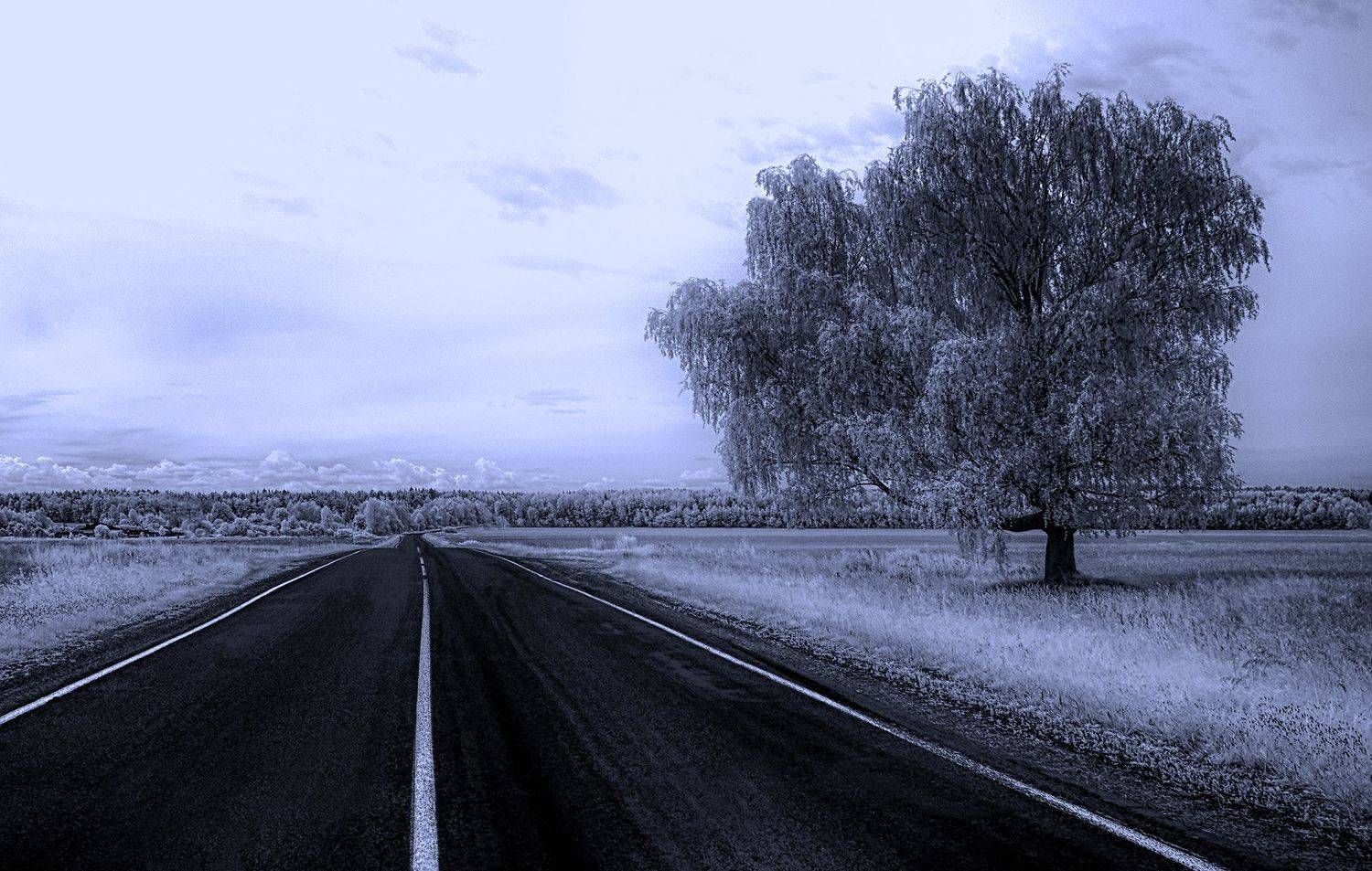 infrared,ик-фото,инфракрасное фото, инфракрасная фотография, пейзаж, лето,  Sixten (Сергей)