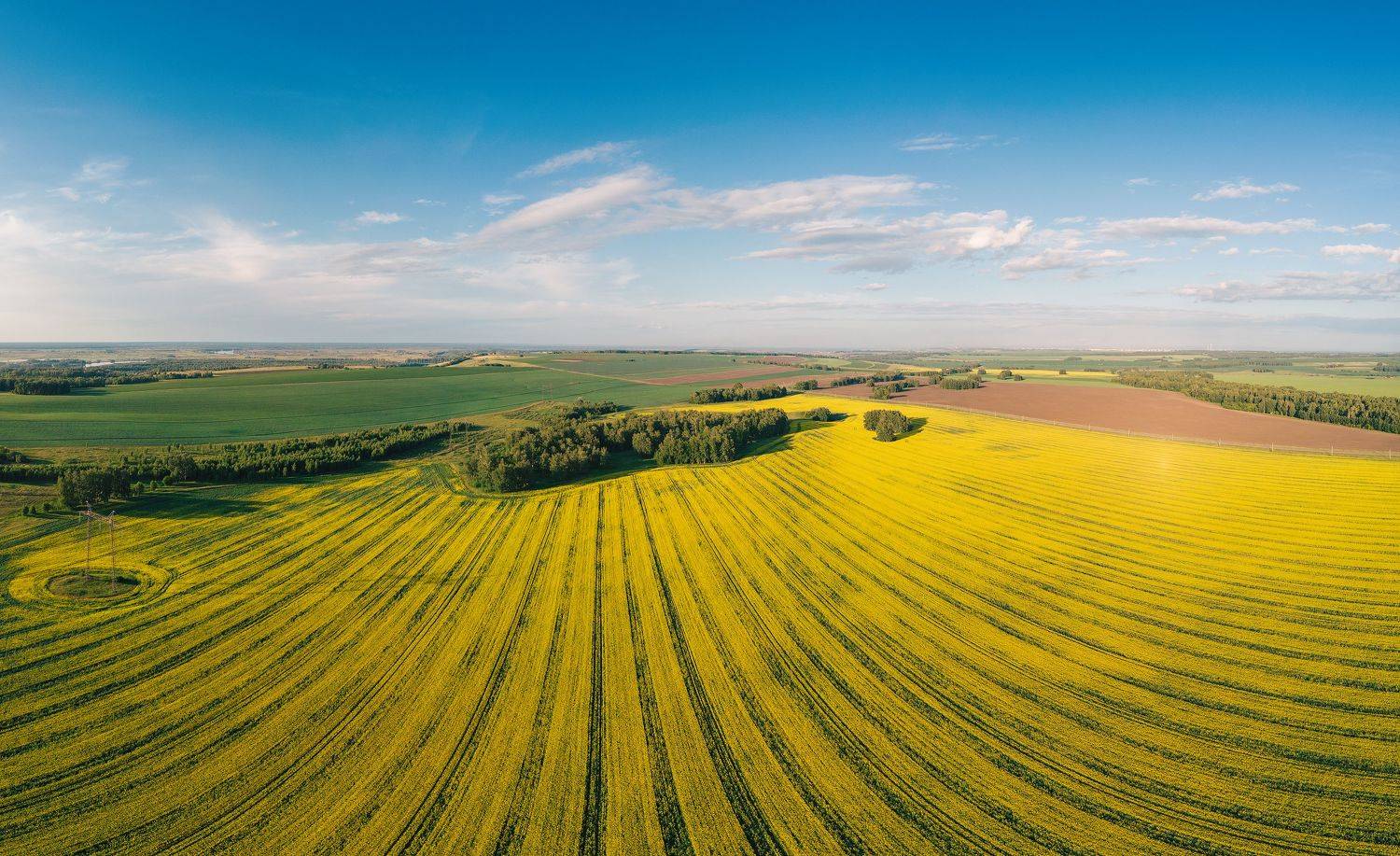 , Руслан Олинчук