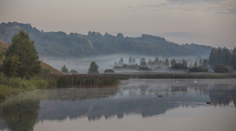 псковская обл,мальская долина,городищенское озеро утро Мальской долины фото превью