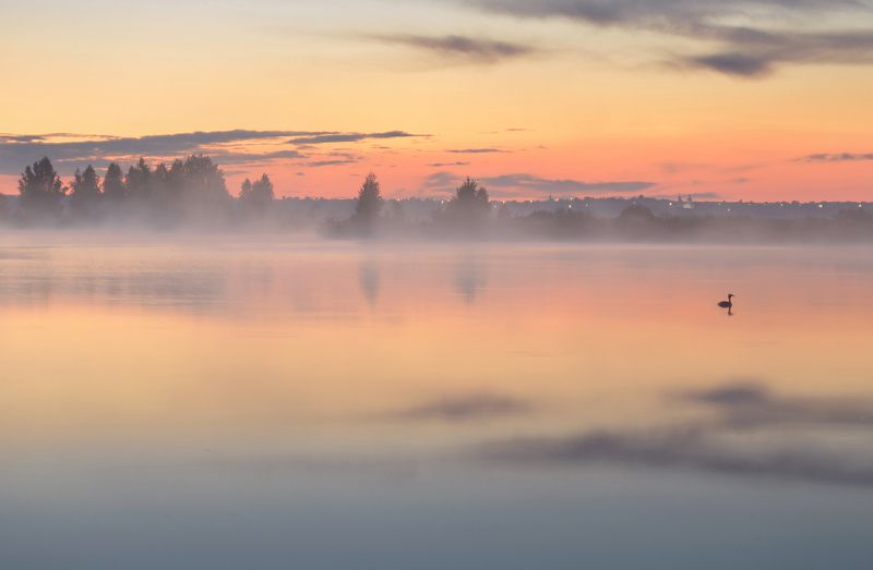 После дождя фото превью