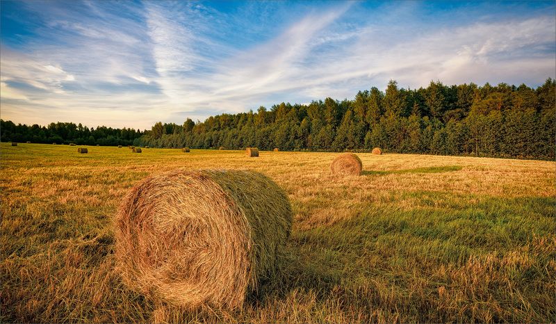 пейзаж, лето, вечер, деревня, свет, цвет, александр никитинский Сенокос... фото превью