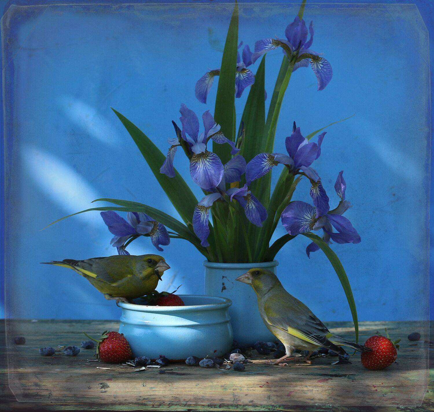 зеленушка, Хромушин Олег