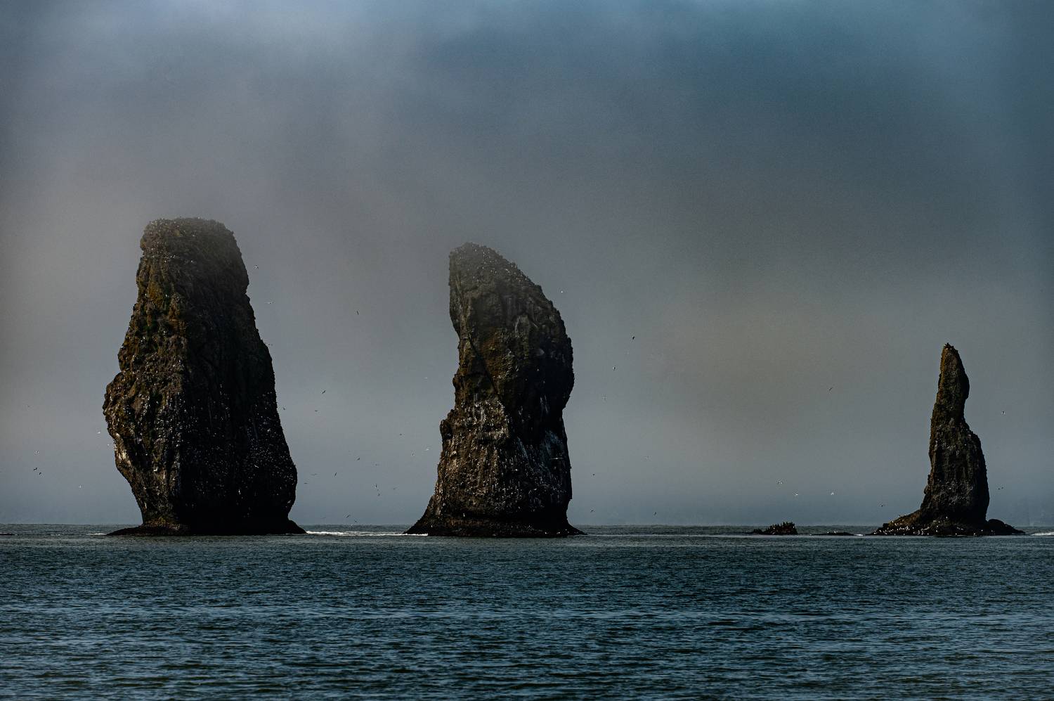 , Александр Мухин