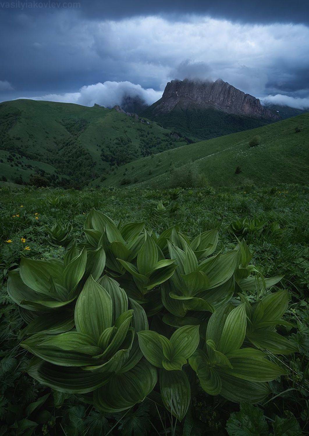 тхач, большой тхач, фототур, яковлевфототур, кавказ, адыгея, Василий Яковлев