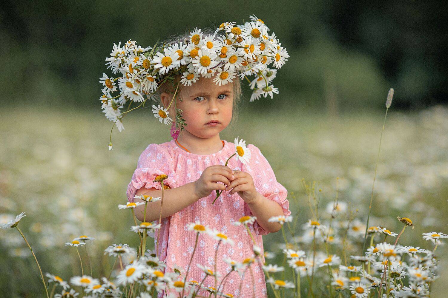 дети, лето, ромашки, молоко, детская фотосессия, Ирина Ларина