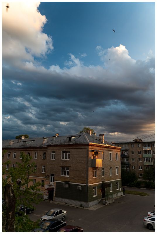 Roshal фото превью