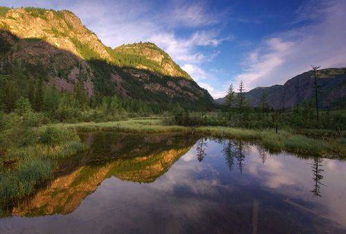 Спокойное утро