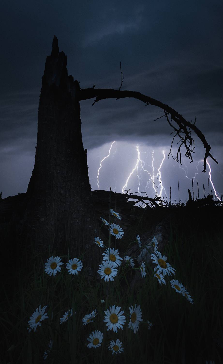 , Захаров Дмитрий