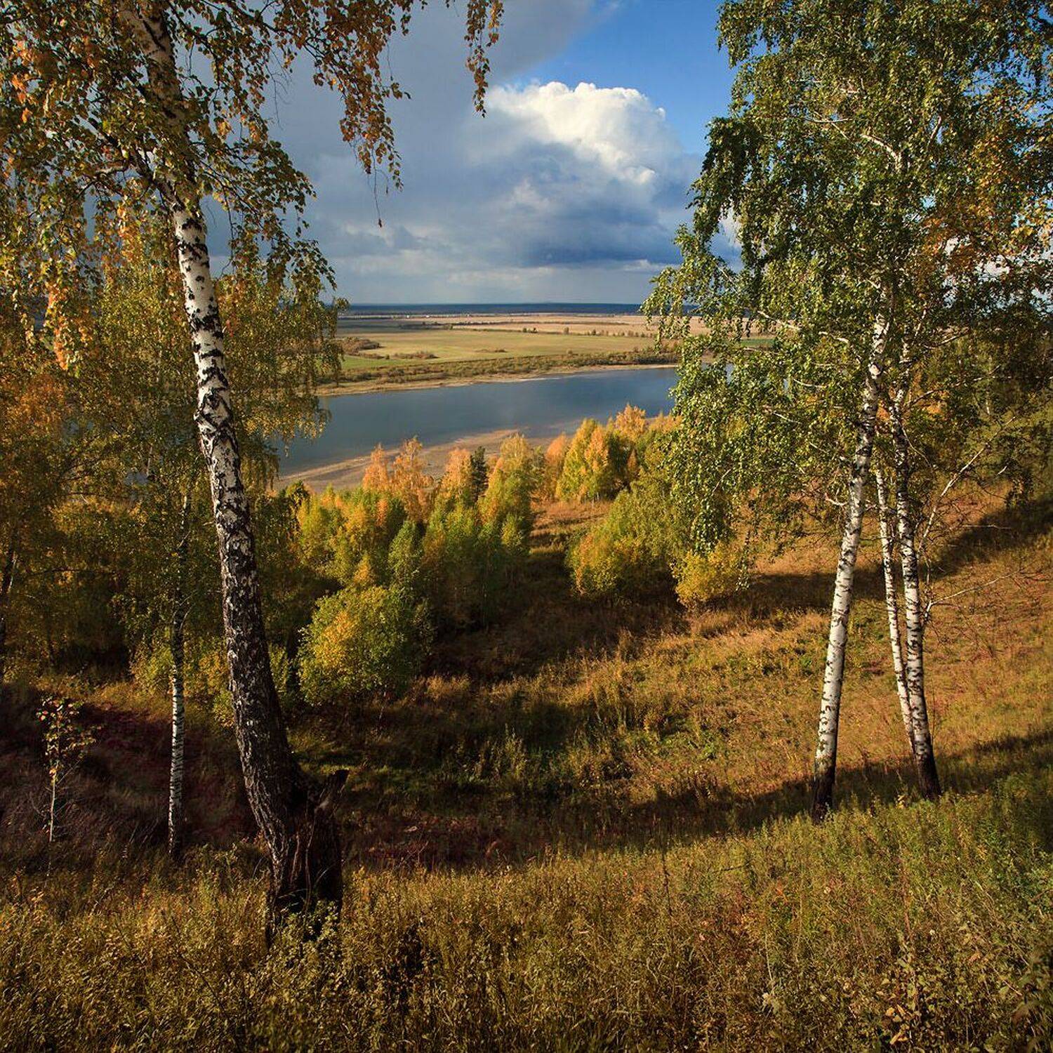 , Алексей Хахлов