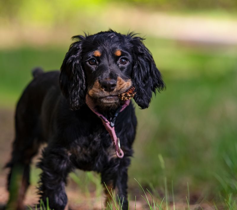 Ника Ника фото превью