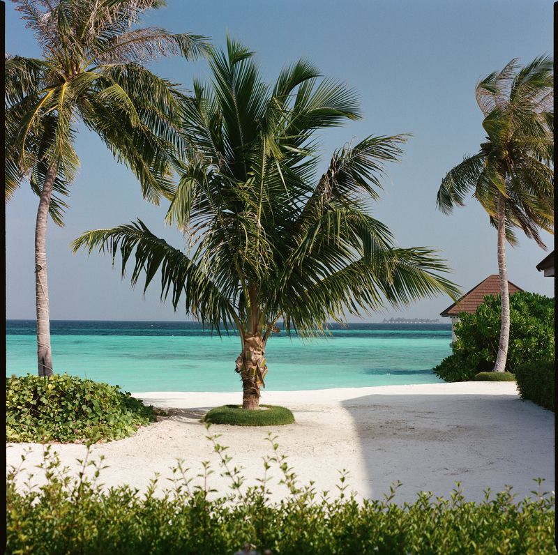 Maldives on Film фото превью