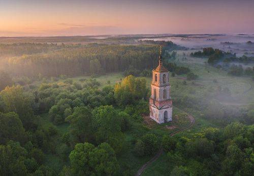 Зеленое море забвения