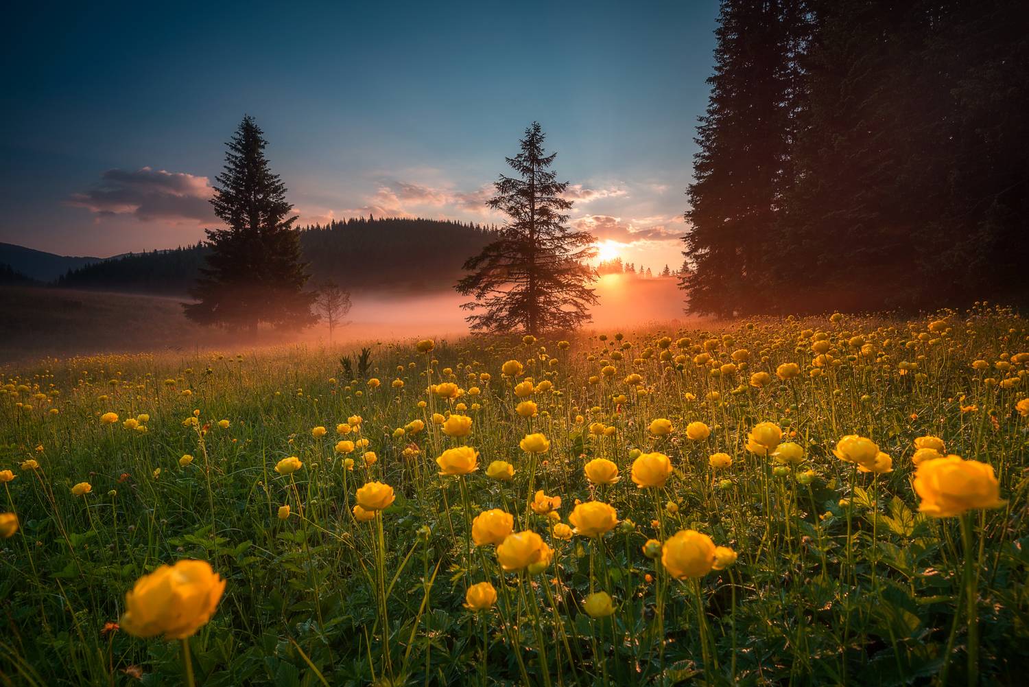 , Mariyana Atanasova - Lucero