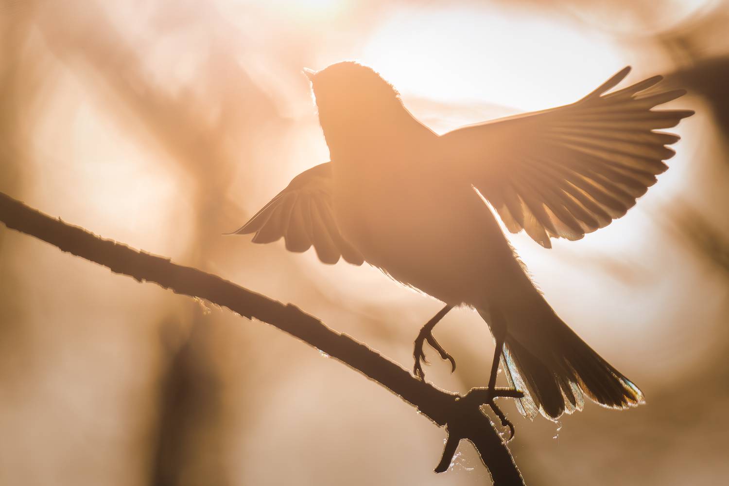 , Поляков Михаил